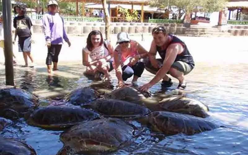 tanjung benoa tanjung benoa